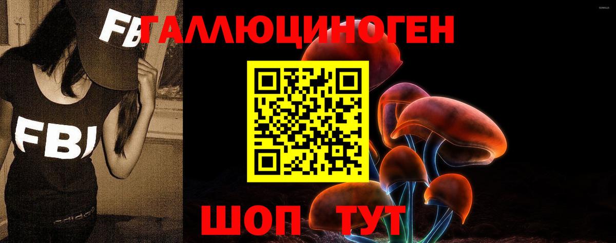 Галлюциногенные грибы ЛСД Солнечногорск